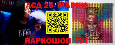 гидропоника Тара
