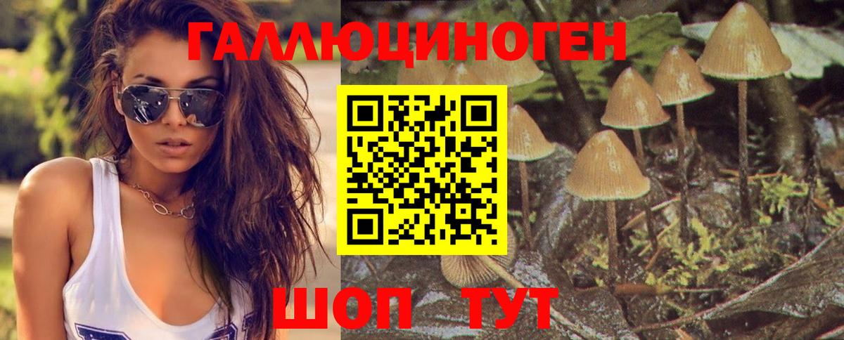 ГАШ  Вход с VPN  Конопля  Отрадное  МЕФ   Гашиш  COCAIN  Alpha PVP СК кристаллы  ЭКСТАЗИ  LSD-25 